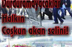 kapak31