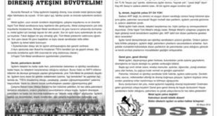 metal-ozel-sayi