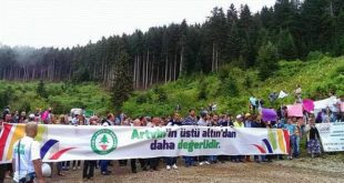 cerattepe-artvin