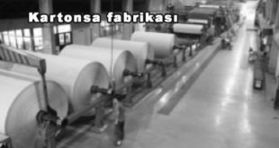 kartonsa